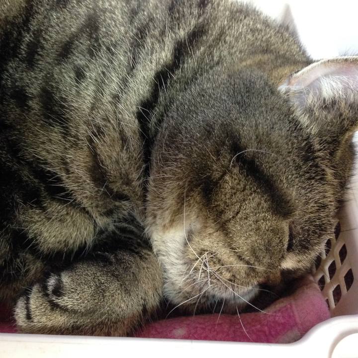 A3a14708 c72c 433a b7a4 aace2ac090ac