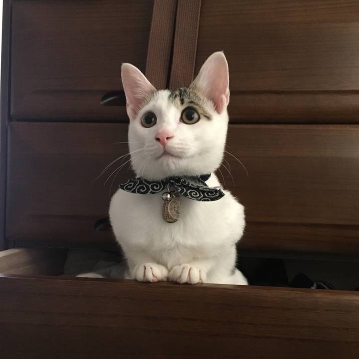 A3a20f0a 6de9 46d0 b87f 345339346504