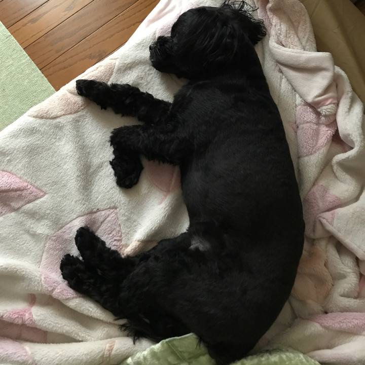 A3a24e6d 5661 4f7e 8c1b c82e346ccab4