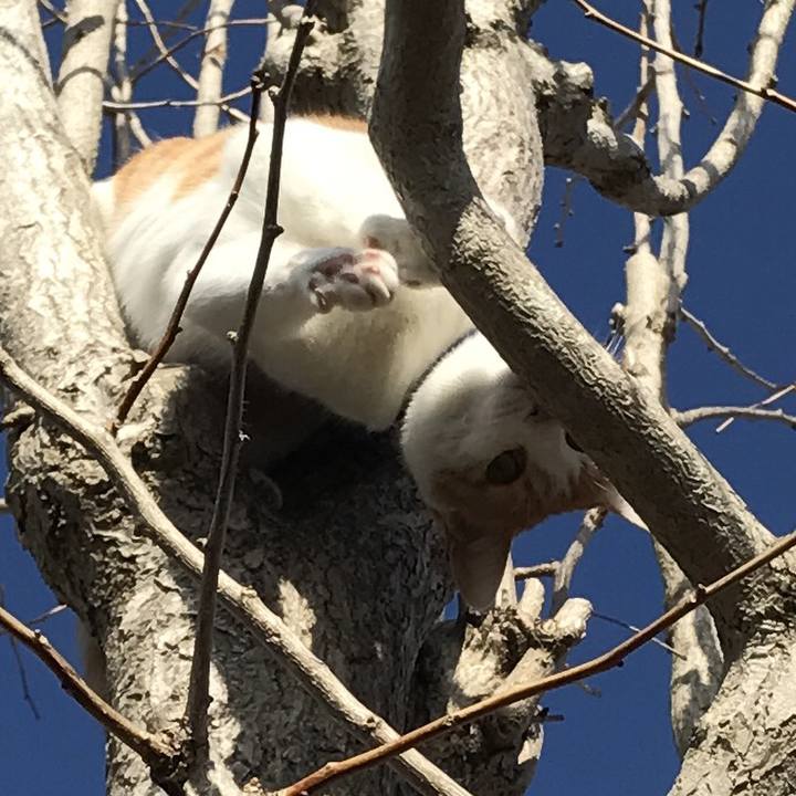 A3a2dfca 4487 4c56 b9c8 baae7d3eddfb