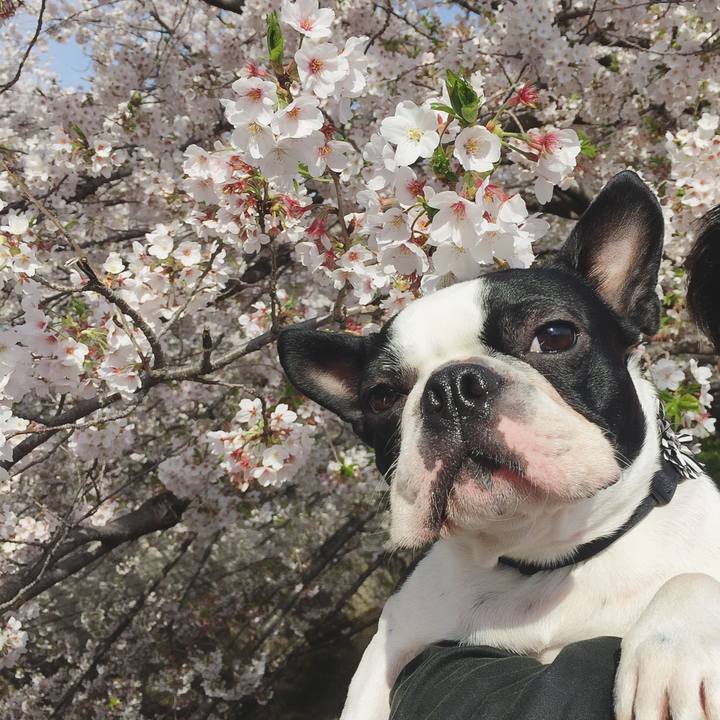 A3a31a8b dfeb 466c ac72 2967c8ec0a00