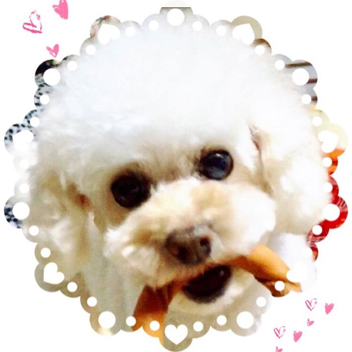 A3a37e8c e03e 4ad7 802c 425ec72016d6