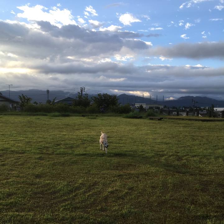 A3a46074 59b9 49e7 a7d3 18680141bc36