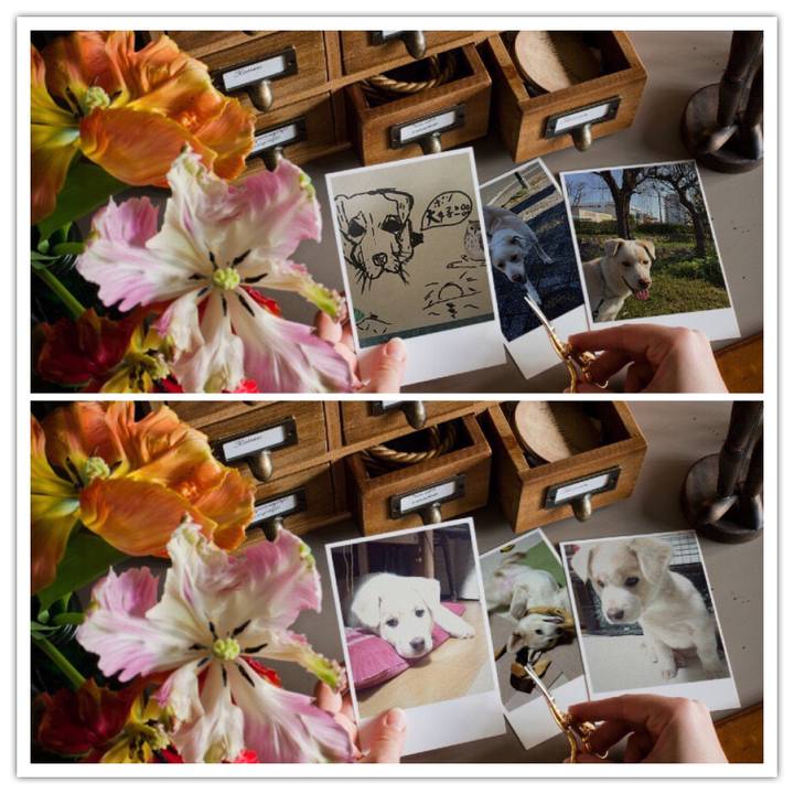 A3a50c5e b4b4 453b a7f9 c439ffd992b3