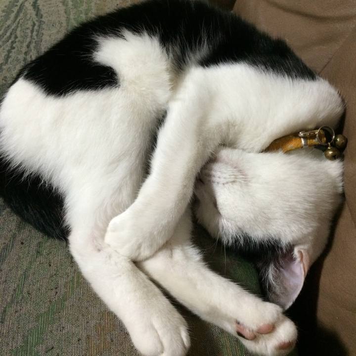 A3a5613e 1172 4fee 9329 b2895625ec35