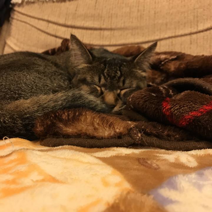 A3a59aec ea5d 46aa b19e b30880ebb336