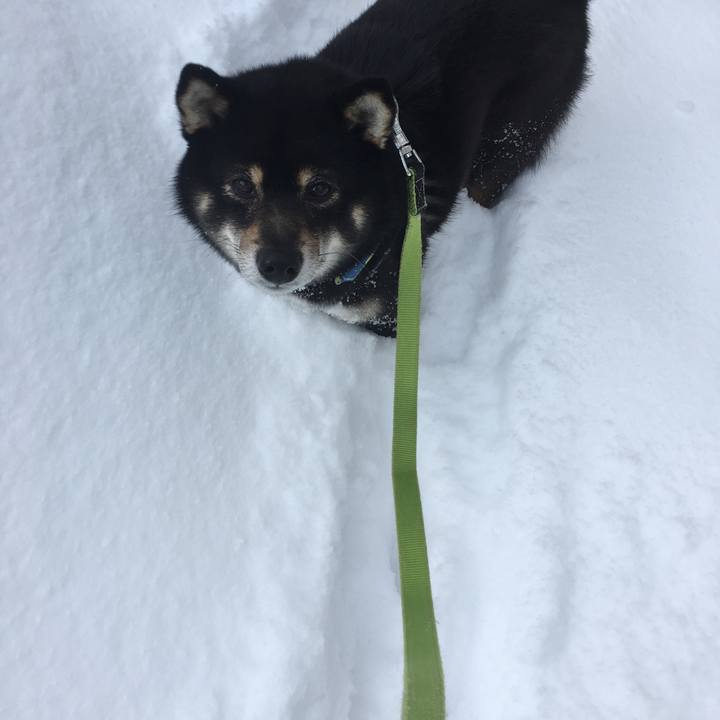 A3a5ca3d 86b6 4fb3 89ae b7b9110b9559