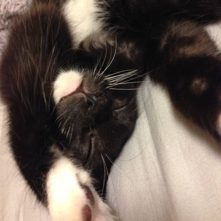 A3a5d4e4 7de0 4ec4 b12e fa1f8d2a6105