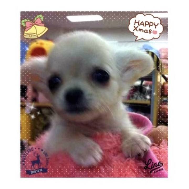 A3a5f8e6 92d3 4748 b982 6a21fe922ae6