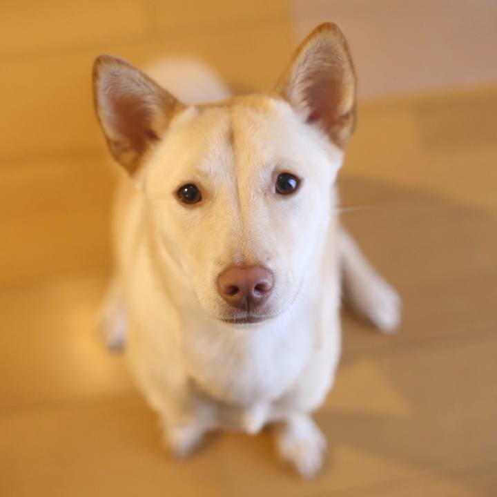 A3a6762f 93d0 46d1 9e00 607781426e4c