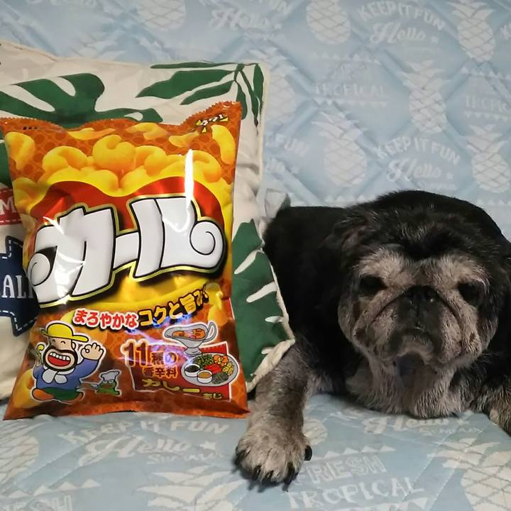 A3a6eb55 76ac 4654 9c91 877275002712