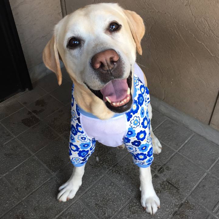 A3a76292 b457 4c31 bc78 81e20a2b2d58