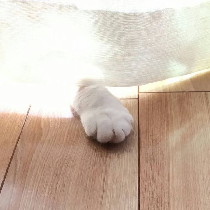 A3a78654 a878 4000 a4e9 573f2133f061