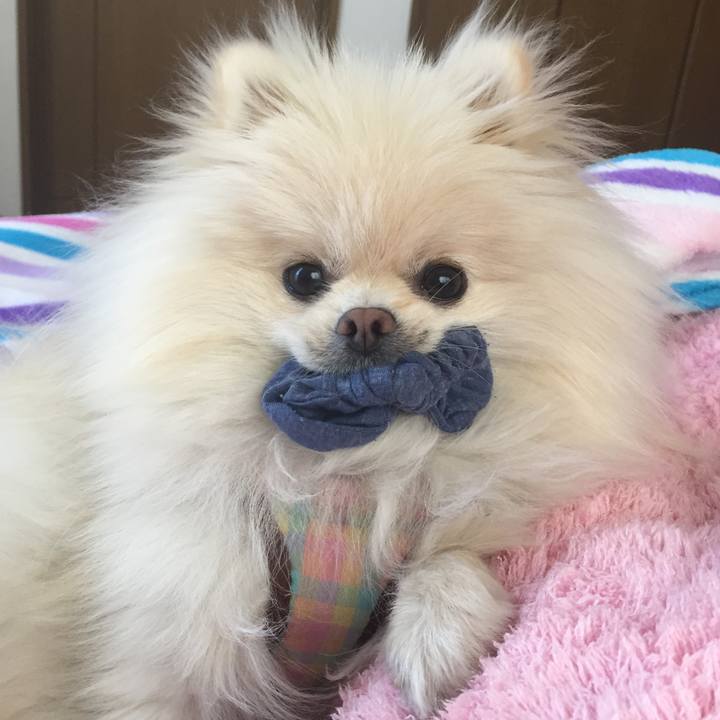 A3a7bf2e 956e 41a5 9d23 38cf0e956d3c