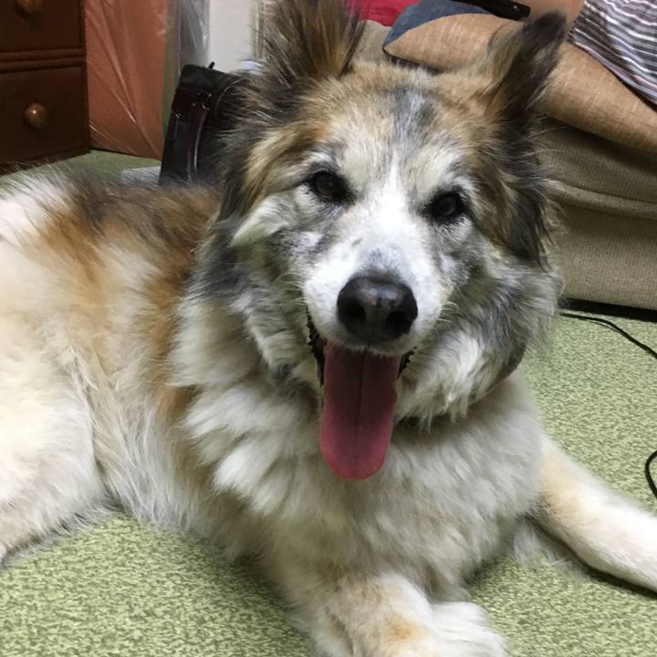 A3a88654 e434 4916 a15f 8fa6c33621b8