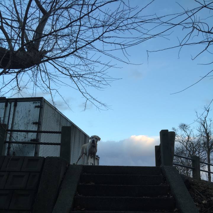 A3a9f359 a009 4483 9367 63fd8cab1f90