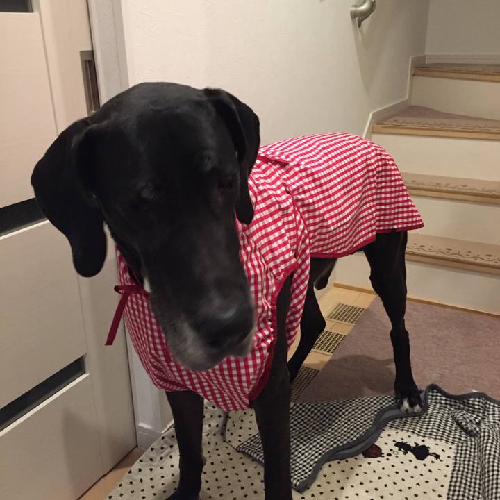 A3ab099c f631 42e1 a474 ebc10690aabf