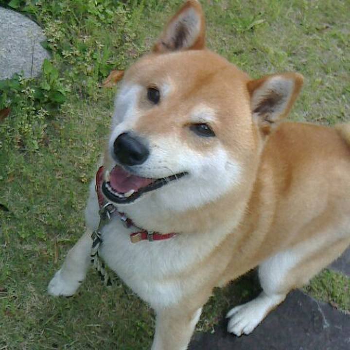 A3abd221 a1ab 4182 a898 78d26828e05d