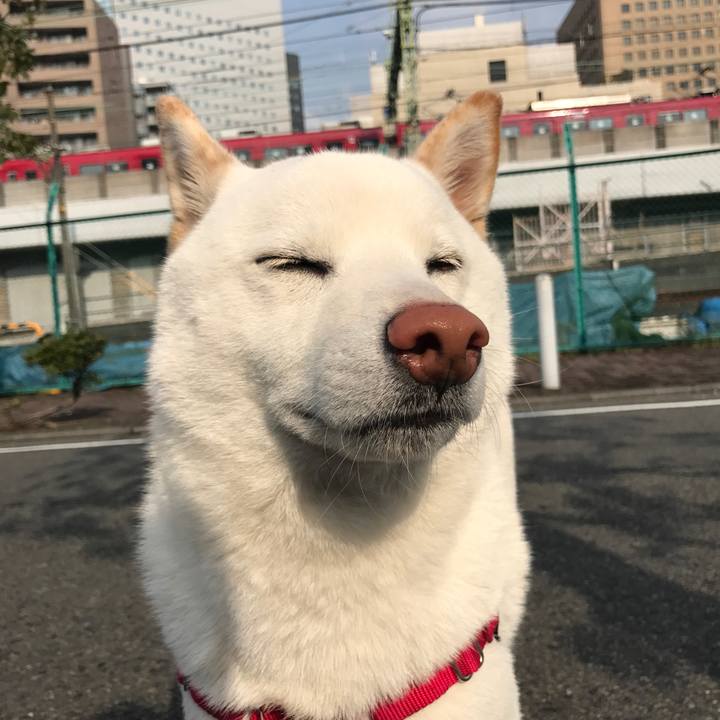 A3ace9b3 04e9 4d3b 8ec8 4405aaeebb97