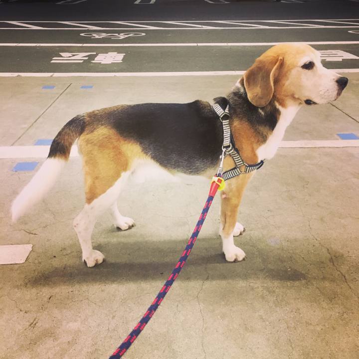 A3ad855a 6981 4458 9888 9d936b192c20