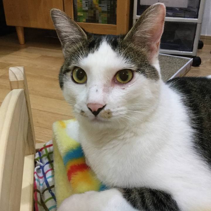 A3ad9d71 0e5e 4951 84b3 693636de4015