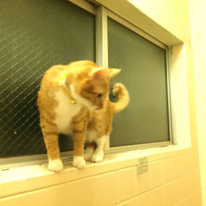 A3ada779 8adc 4053 81d5 3a517c4d240d