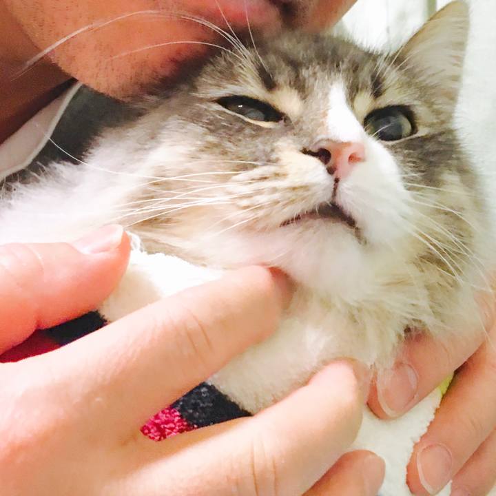 A3ade8eb a41a 496b a4cb 3b5a9d30d13f