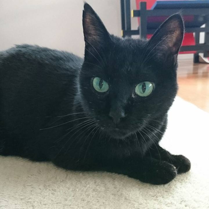 A3adfb27 3bec 4e2b ab95 23f94b6bf83b