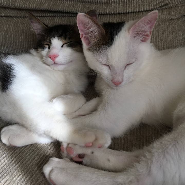 A3ae06be 84e3 4f5f 9c5e 48627e27c1b6