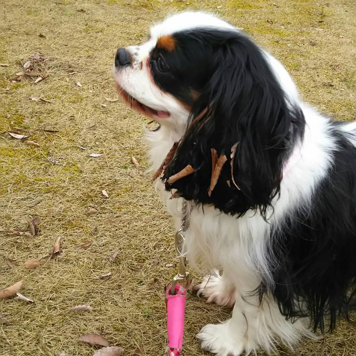 A3aede3d 8daf 4c6c 97ef 63930c3c44e0