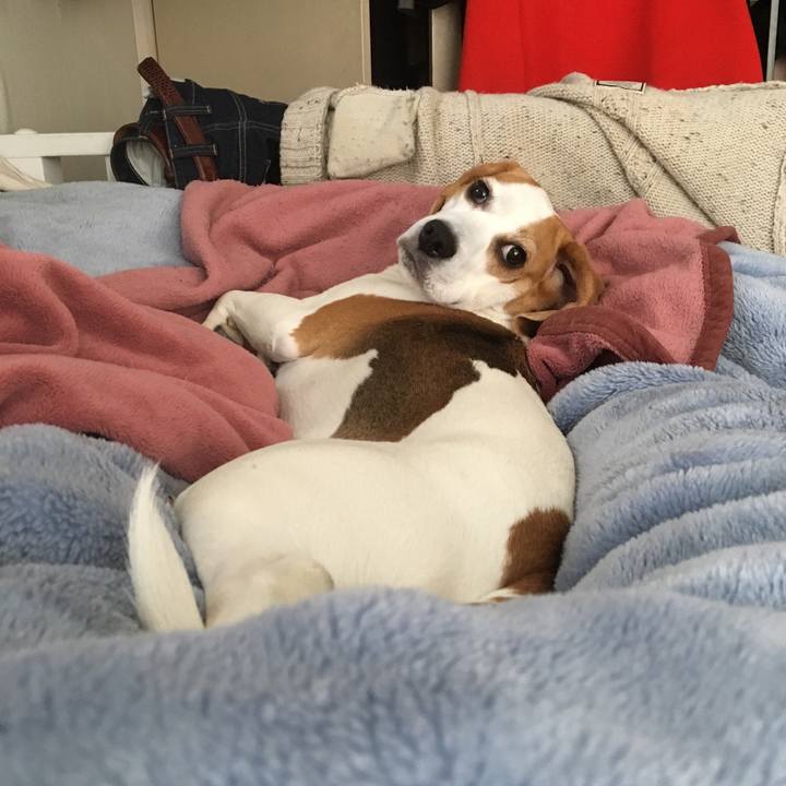 A3af0d04 21d0 4574 9a5b 11e848203ed3