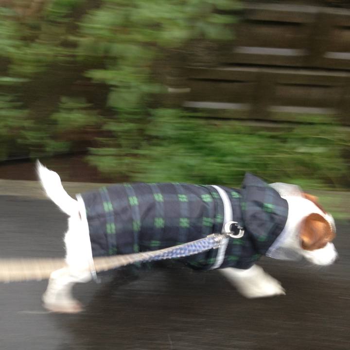 A3af7ae6 628e 46aa 9e60 3f6d171e2edf