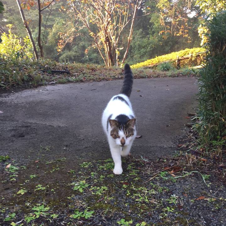 A3b0549f a28b 465a bde0 89a60cce18f3