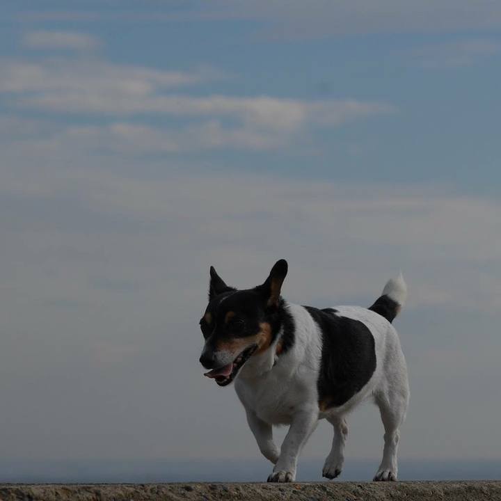 A3b07daa 0966 4093 84b2 5f2b1878f114