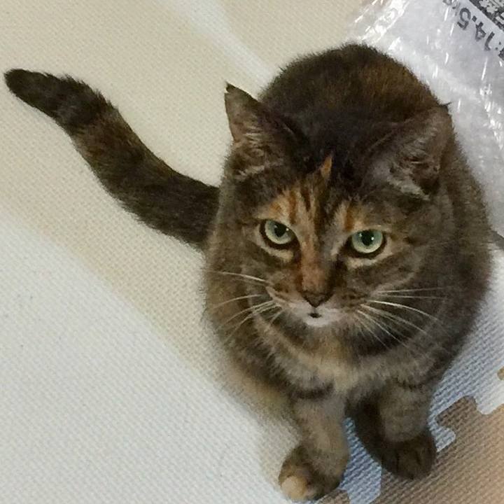 A3b0987c e0b8 4a96 a5cb 8c0ee0ad1d41