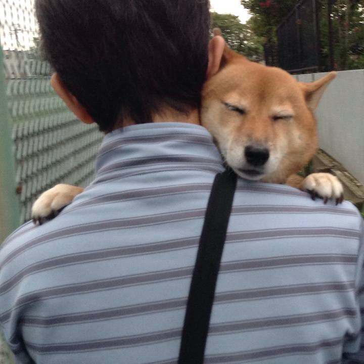 A3b0dbb4 6fda 4c0f b11b 1c1fe35d1ffe