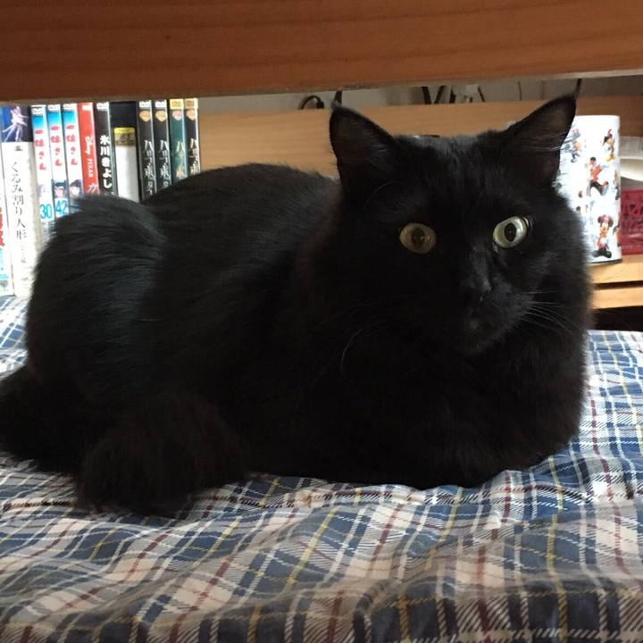 A3b0f405 d1c4 4121 926a dd3bd49d87f0