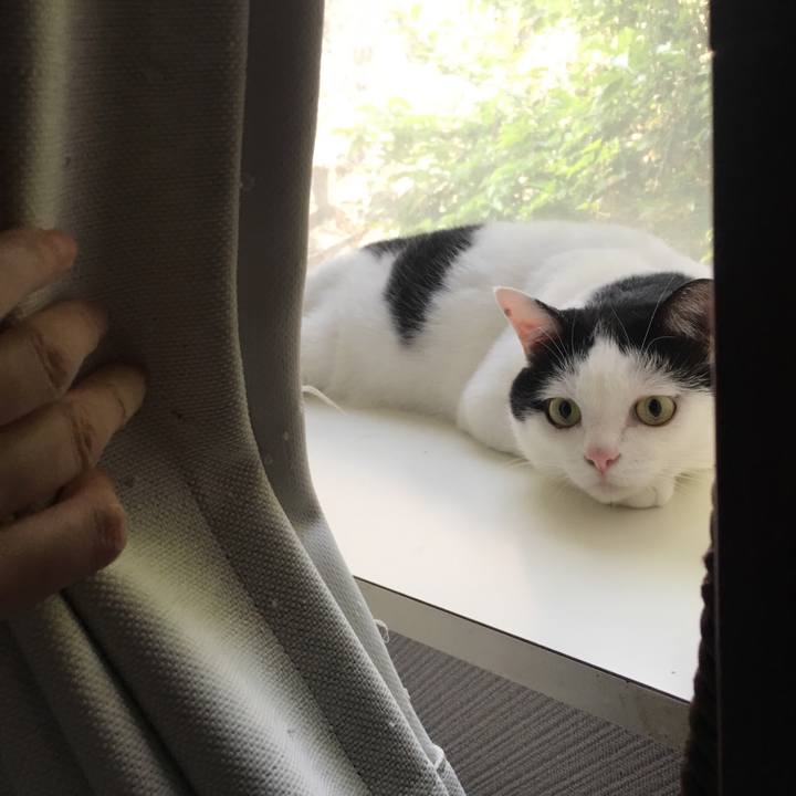 A3b1a72e 8930 41a2 b5ac 33c798a1ed30