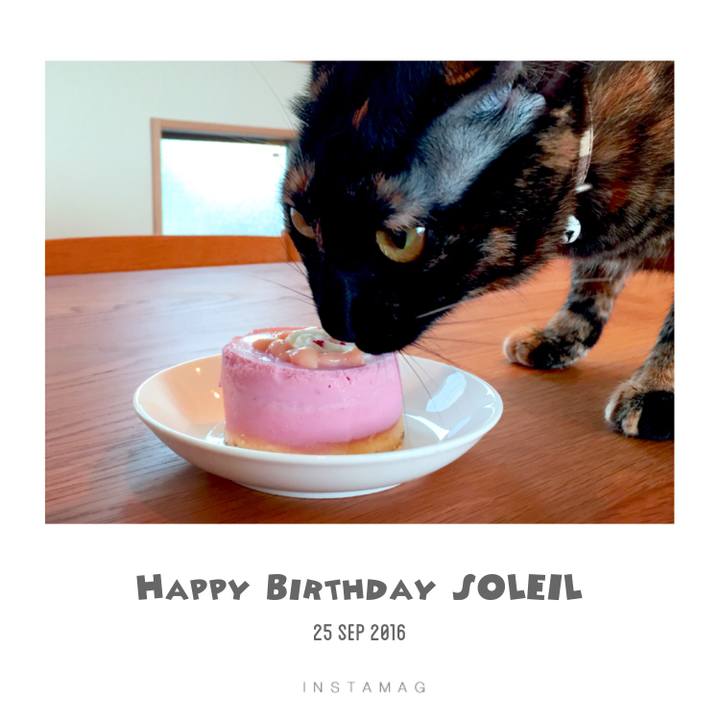 A3b22dc1 97a4 42ce 9b21 11f63bb06afb