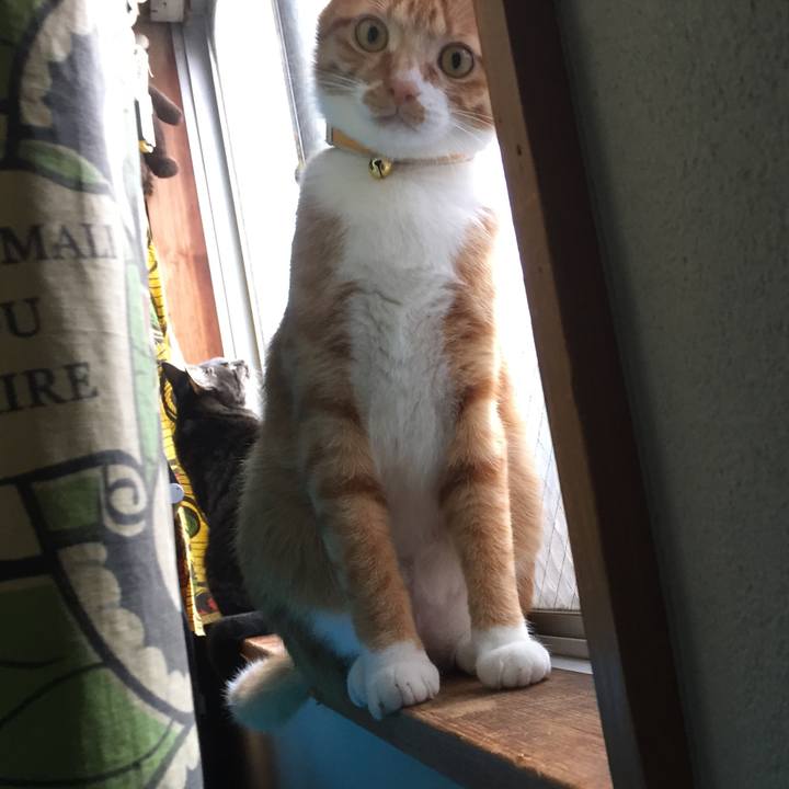 A3b25555 f237 455d a54c 92fc88c42688