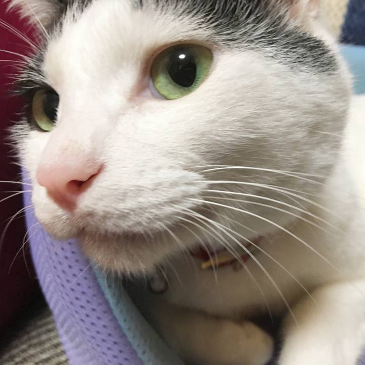 A3b2a5df 41b0 41c8 9e5f c4d018b97c3d