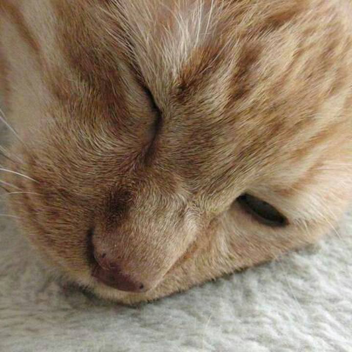 A3b3165b 3292 4c55 846e f696442fe22a