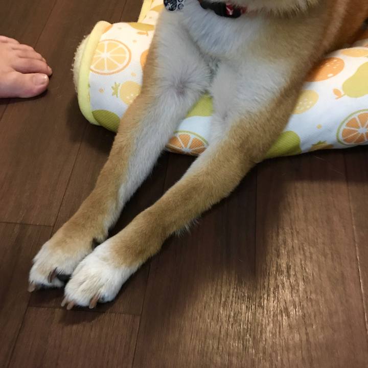 A3b36ff8 0f30 44ee 8d93 3ecc4046b594