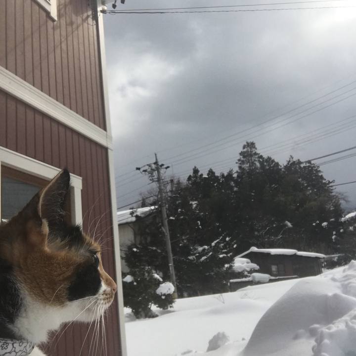 A3b3867b eea6 4e8e 9ce2 52adae731662