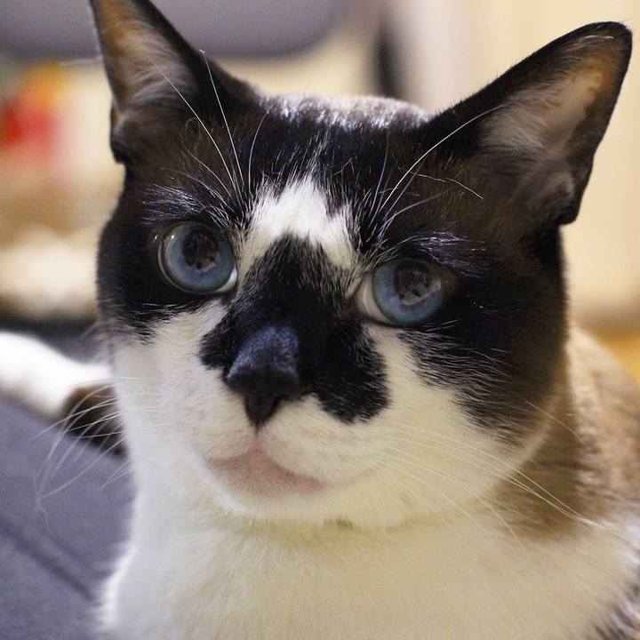 A3b3c632 2a97 41a2 9adb 658d12721c76