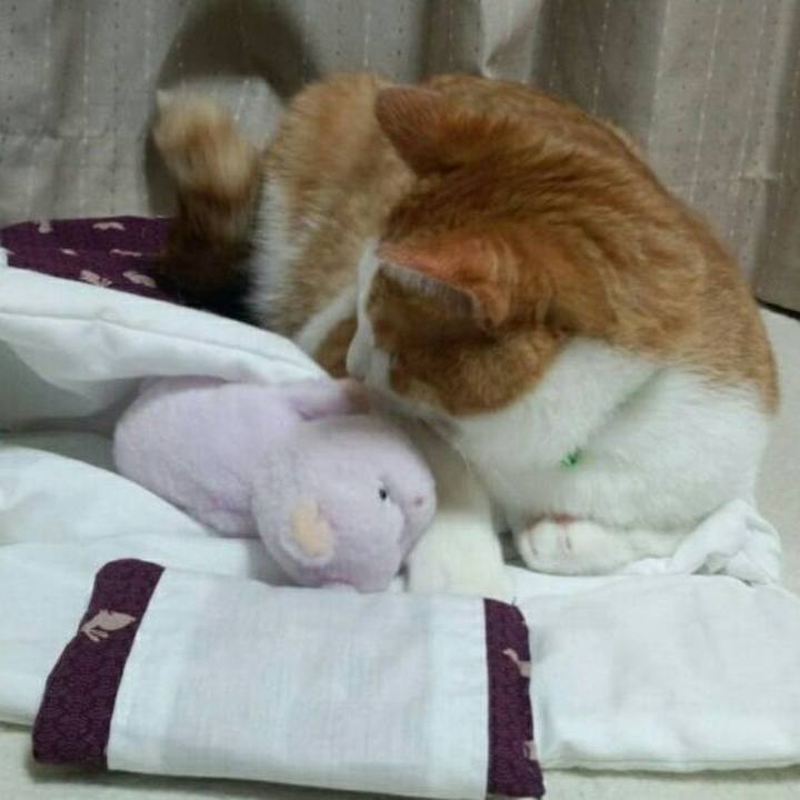 A3b3e92d ef70 4893 9df1 4d4524ae3a0b