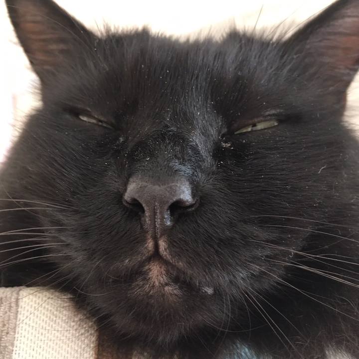 A3b409da 44e5 40e8 9c39 de8b9d0f6ce3