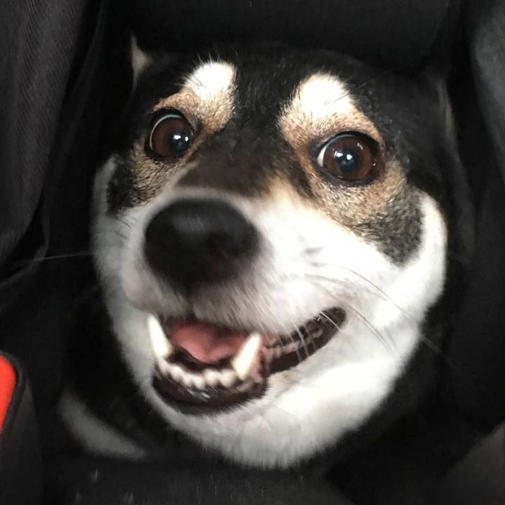 A3b4c1c5 44cf 44f3 b533 93cba3dbb39b