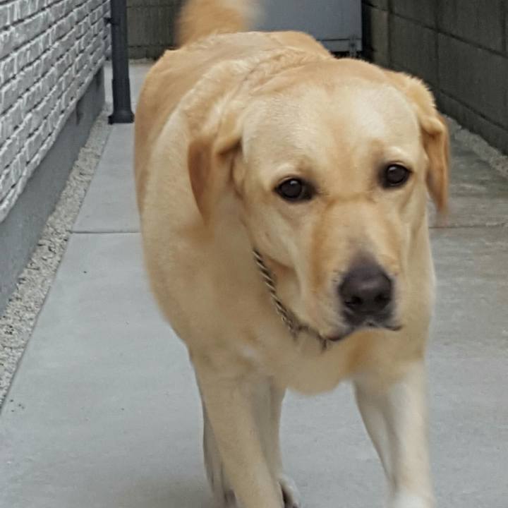 A3b5aa0e e631 4966 9171 20410a112b04