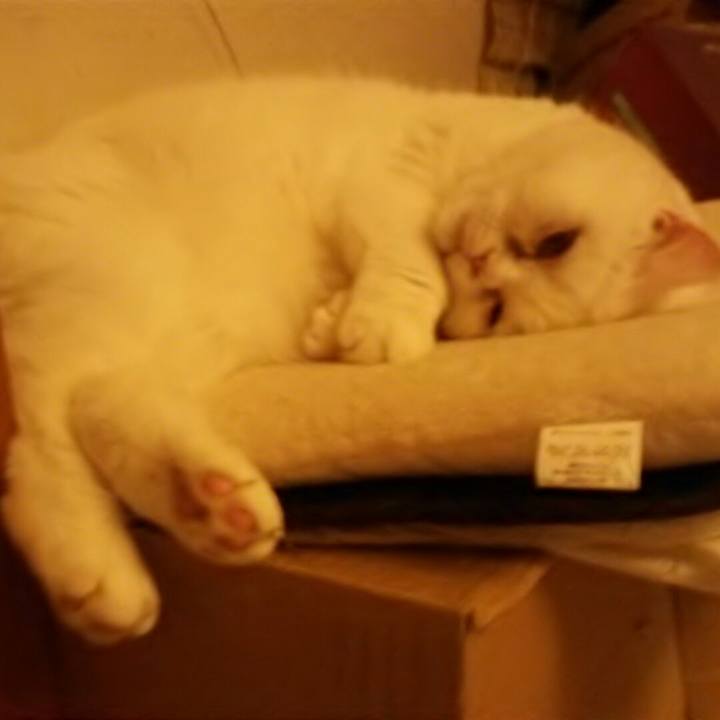 A3b5cb24 7273 41a3 bb3d 9b41b5a667e7